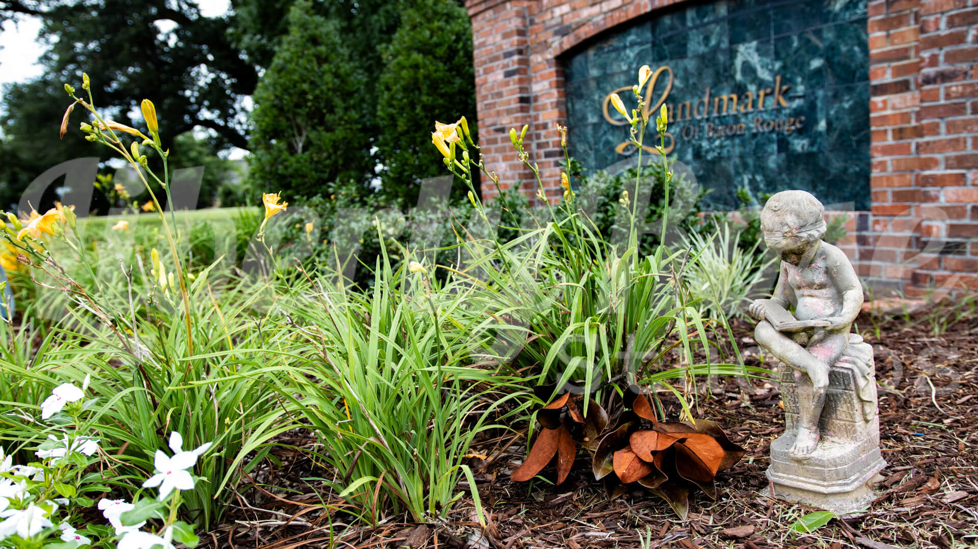 assisted-living-exterior-photography-liberty-rose-studios-2283